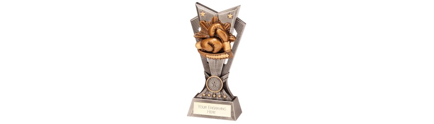 SPECTRE BOXING RESIN TROPHY - 3 SIZES - 15CM - 20CM SPECTRE BOXING RESIN TROPHY - 3 SIZES - 15CM - 20CM